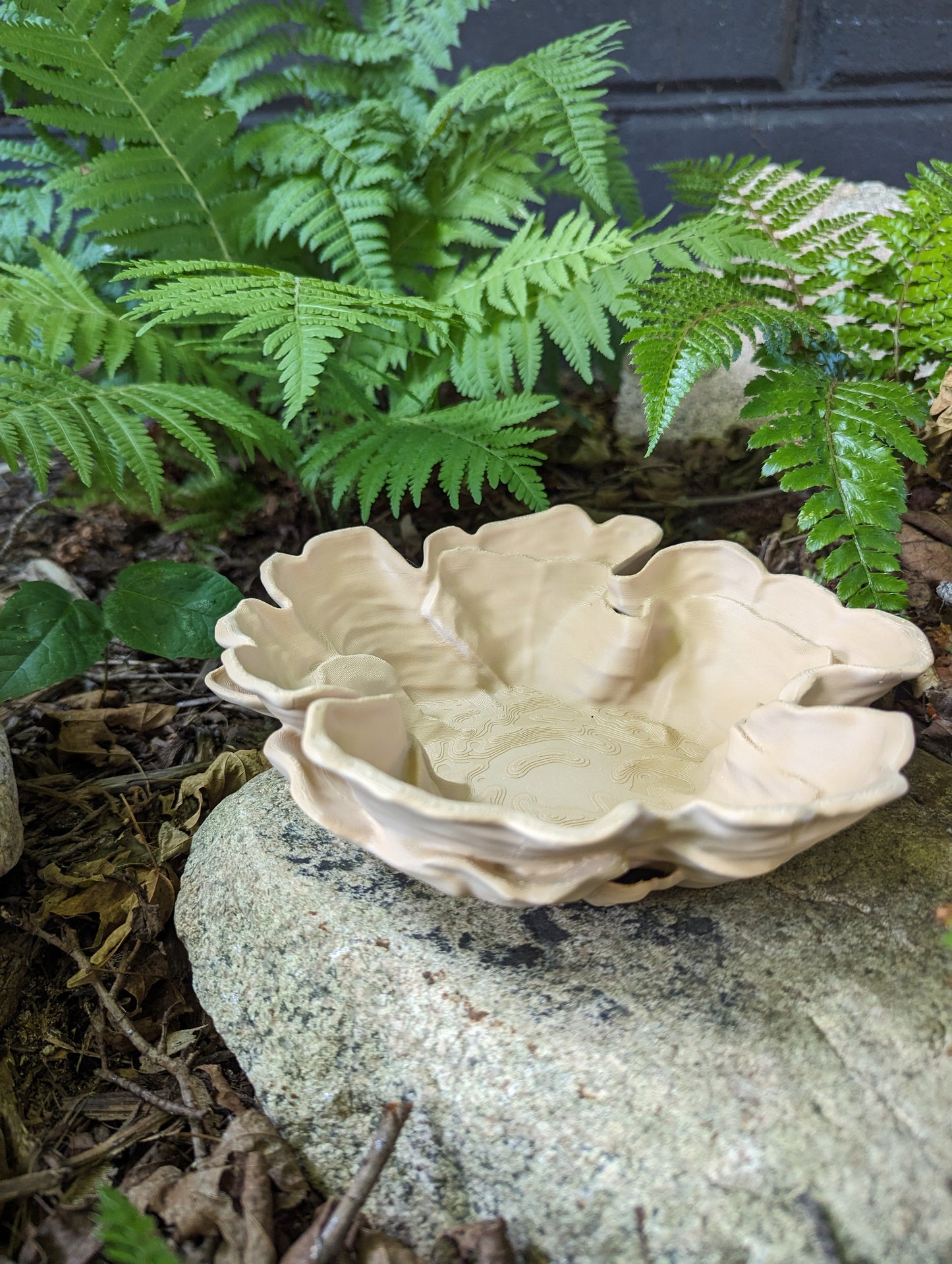 Decorative Fungus Bowl