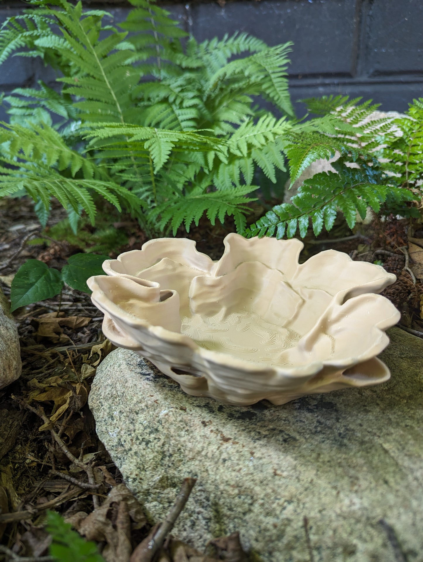 Decorative Fungus Bowl