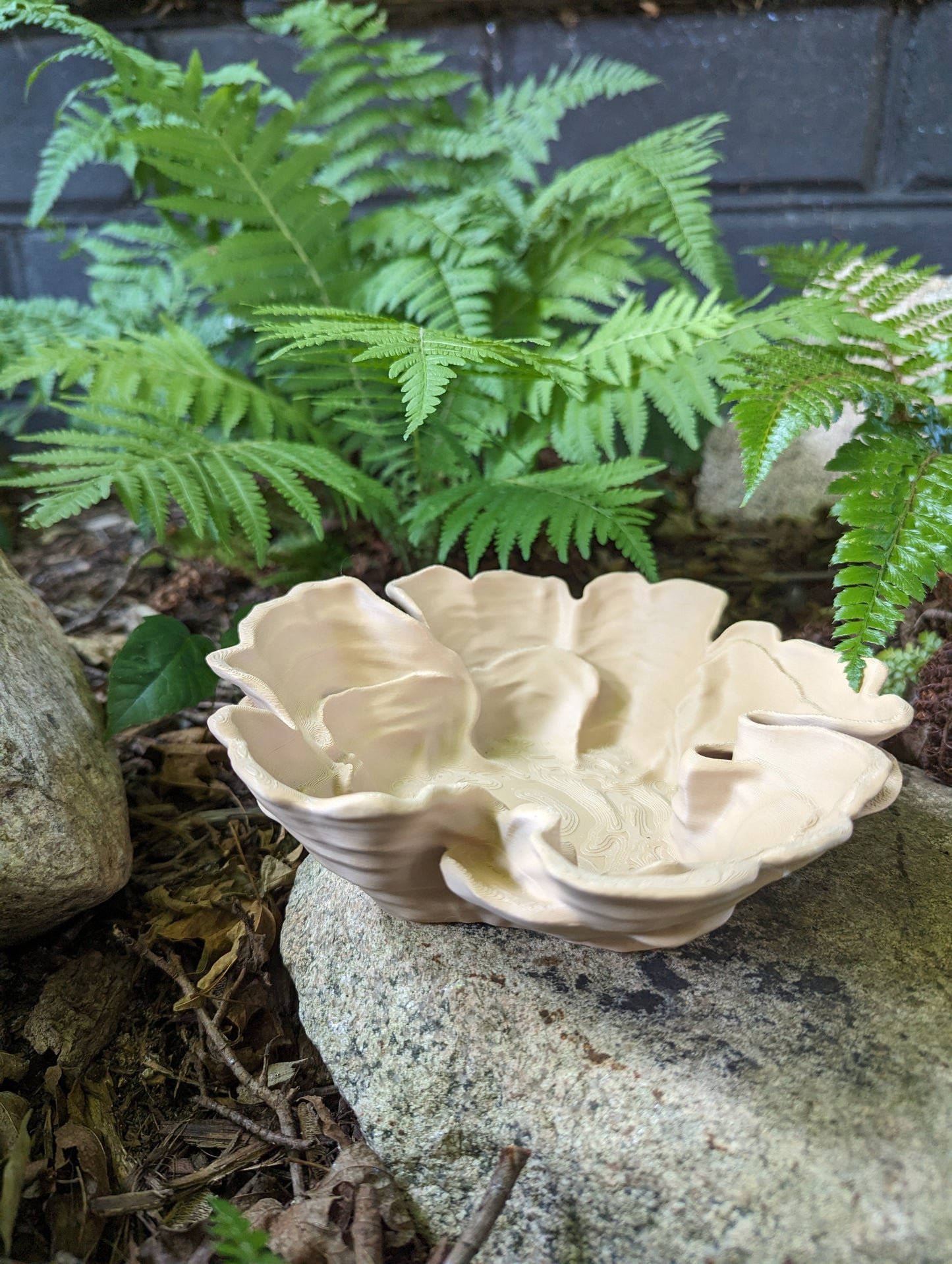 Decorative Fungus Bowl