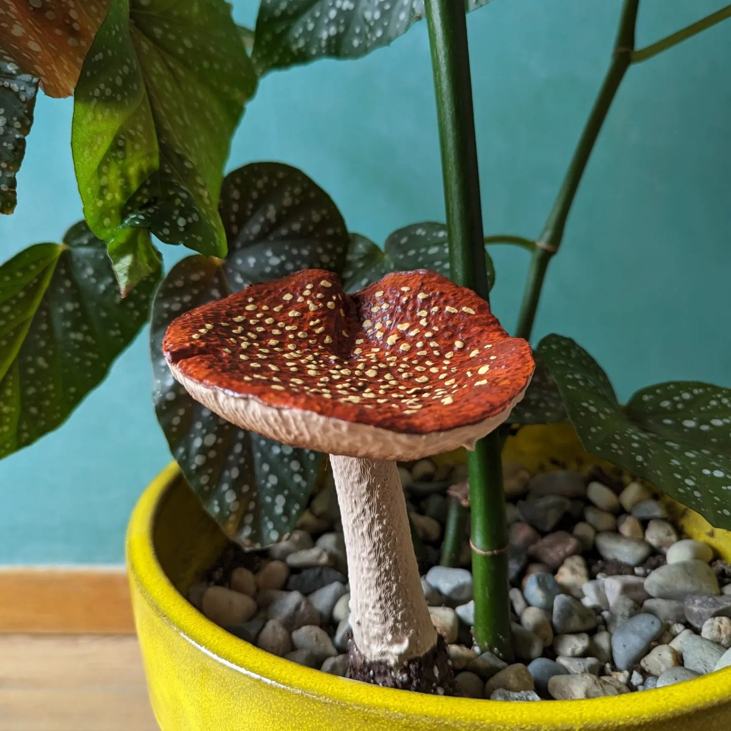 Mister Mushroom Bolete 6"