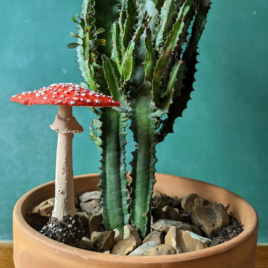 Mister Mushroom Amanita 6"